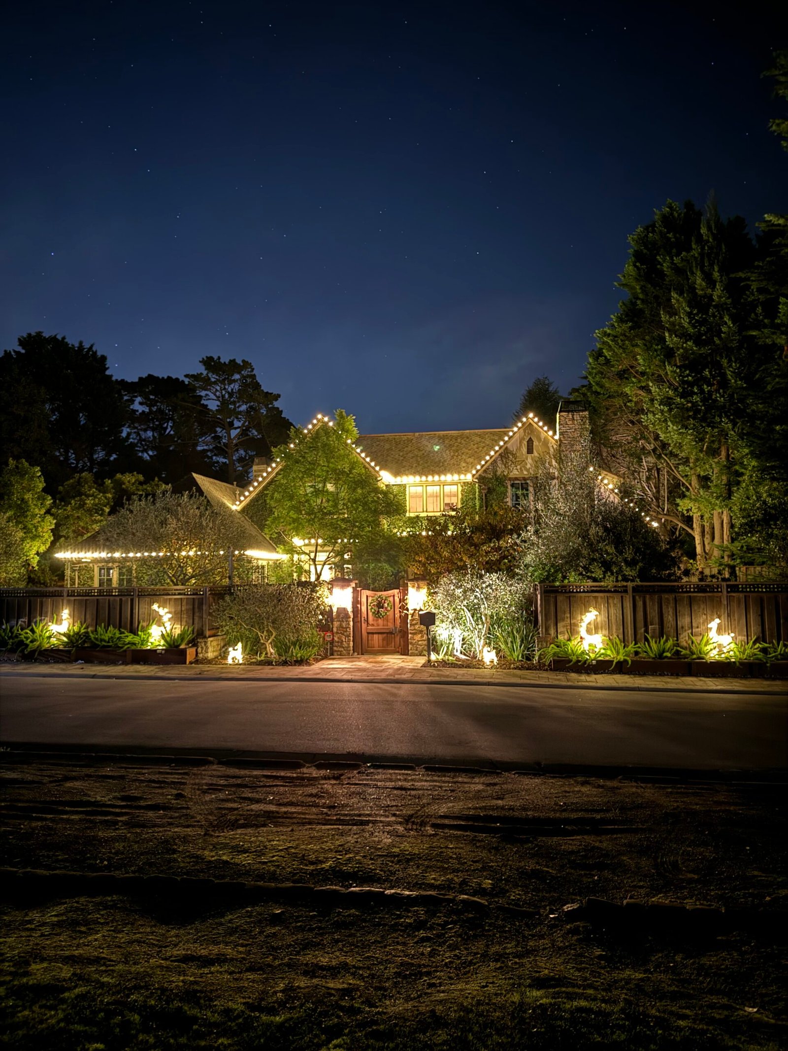 Professional Christmas light installation