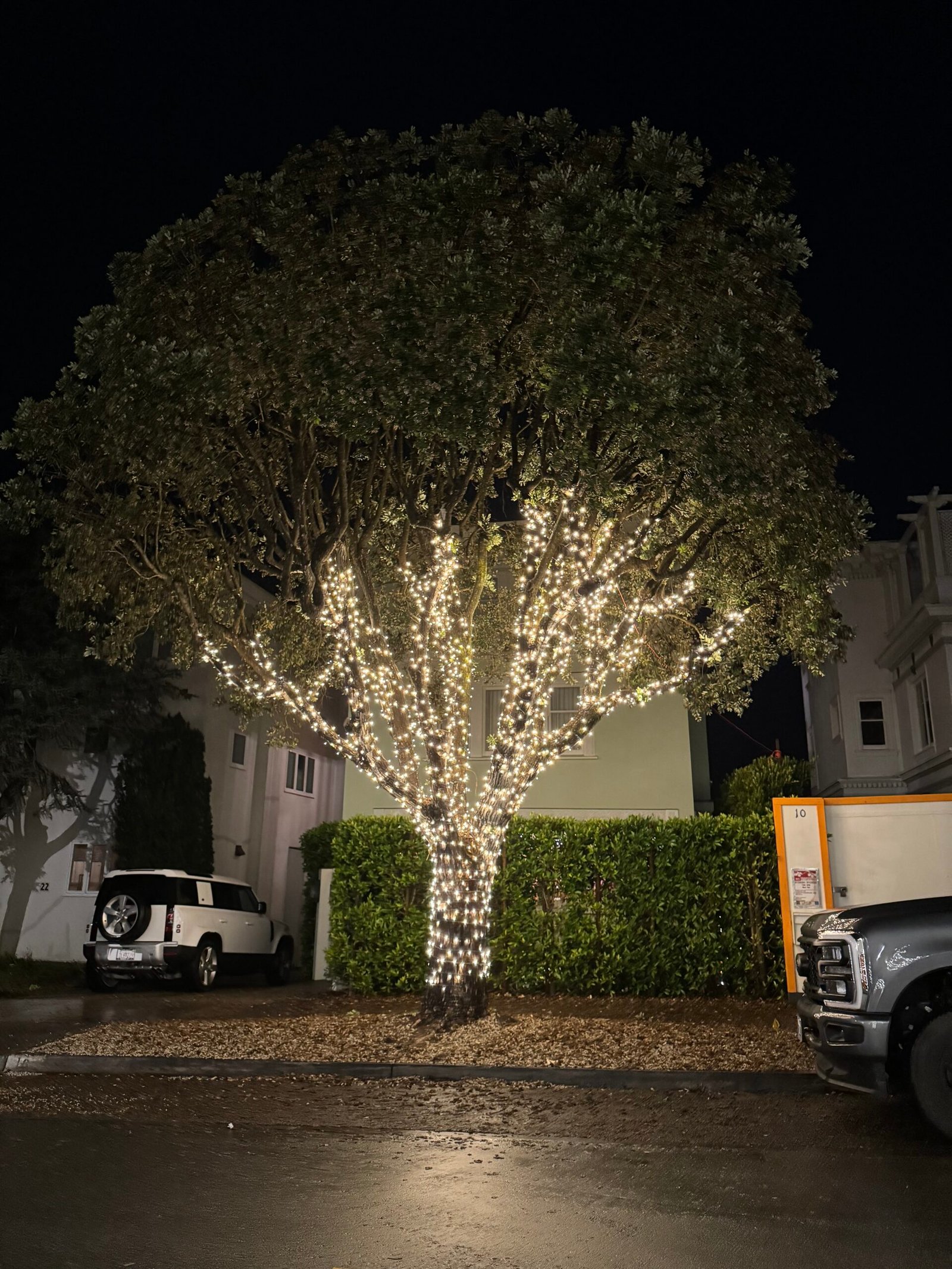 Warm white holiday lighting wrapped around residential trees