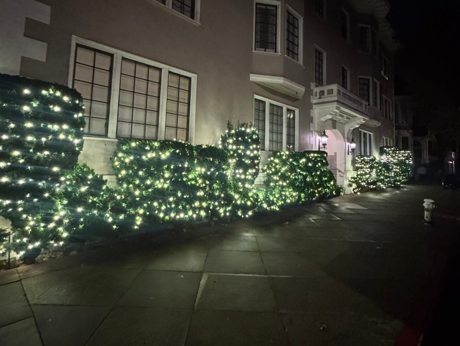 Landscape and hedge holiday lighting at a commercial property