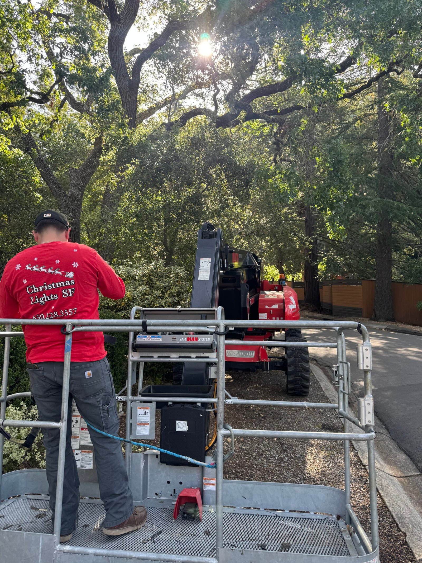 Christmas Lights SF professional holiday lighting installation