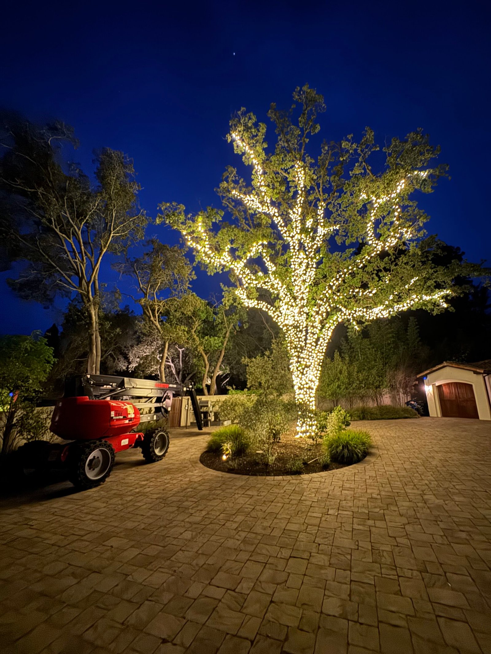 Large tree professionally wrapped with warm white holiday lights