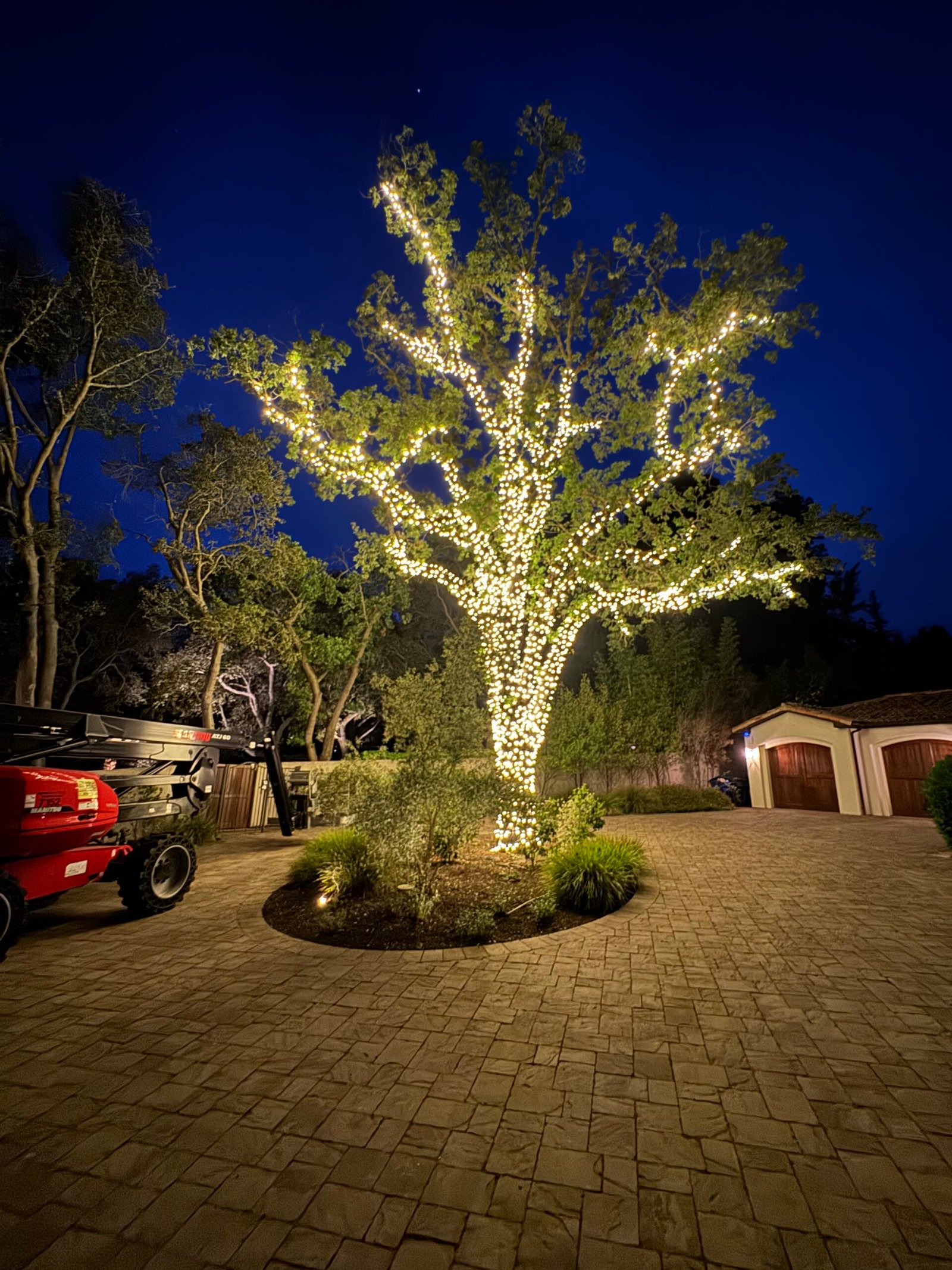 Professional Christmas tree lighting