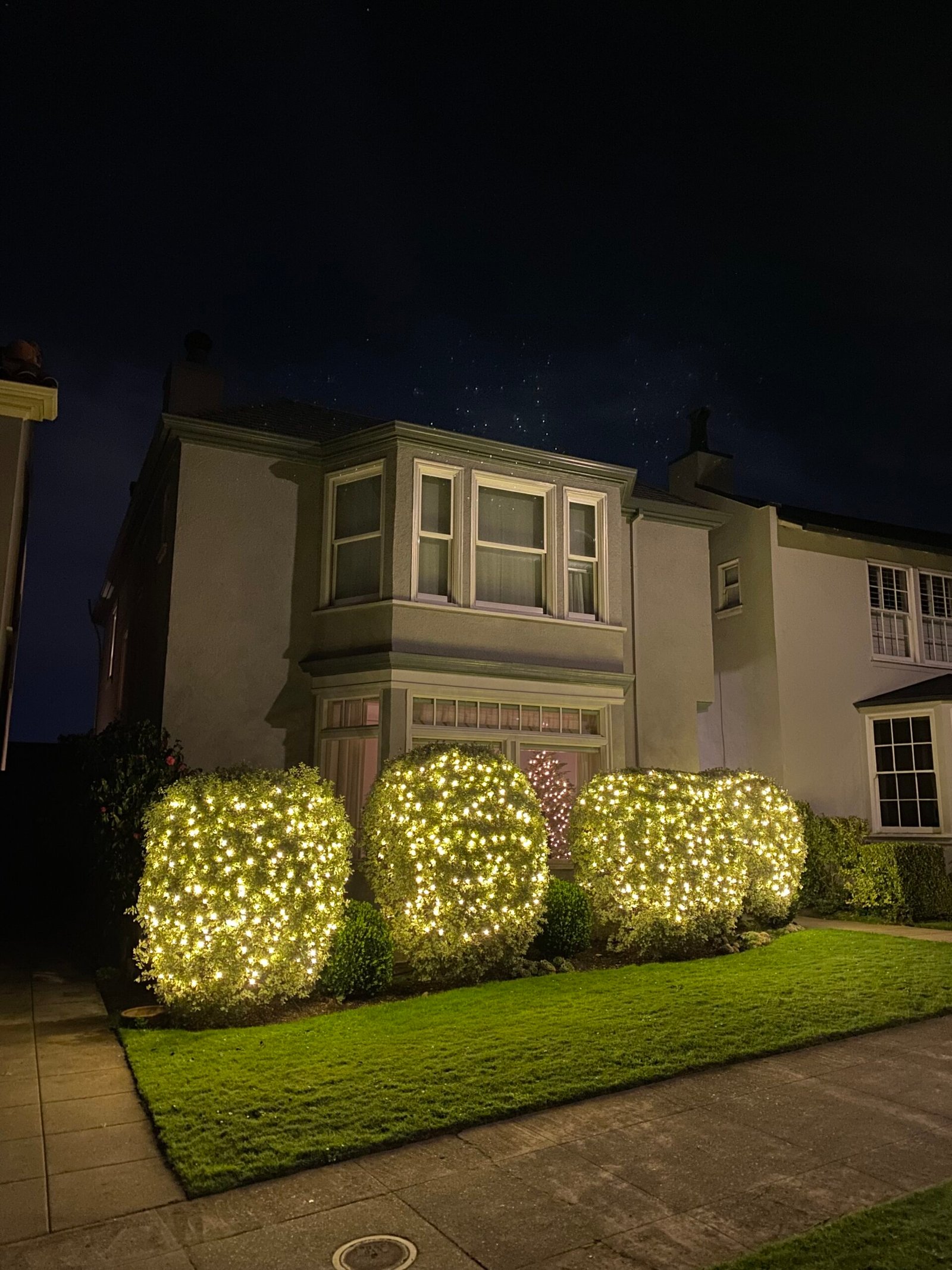 Christmas lighting for bushes and hedges